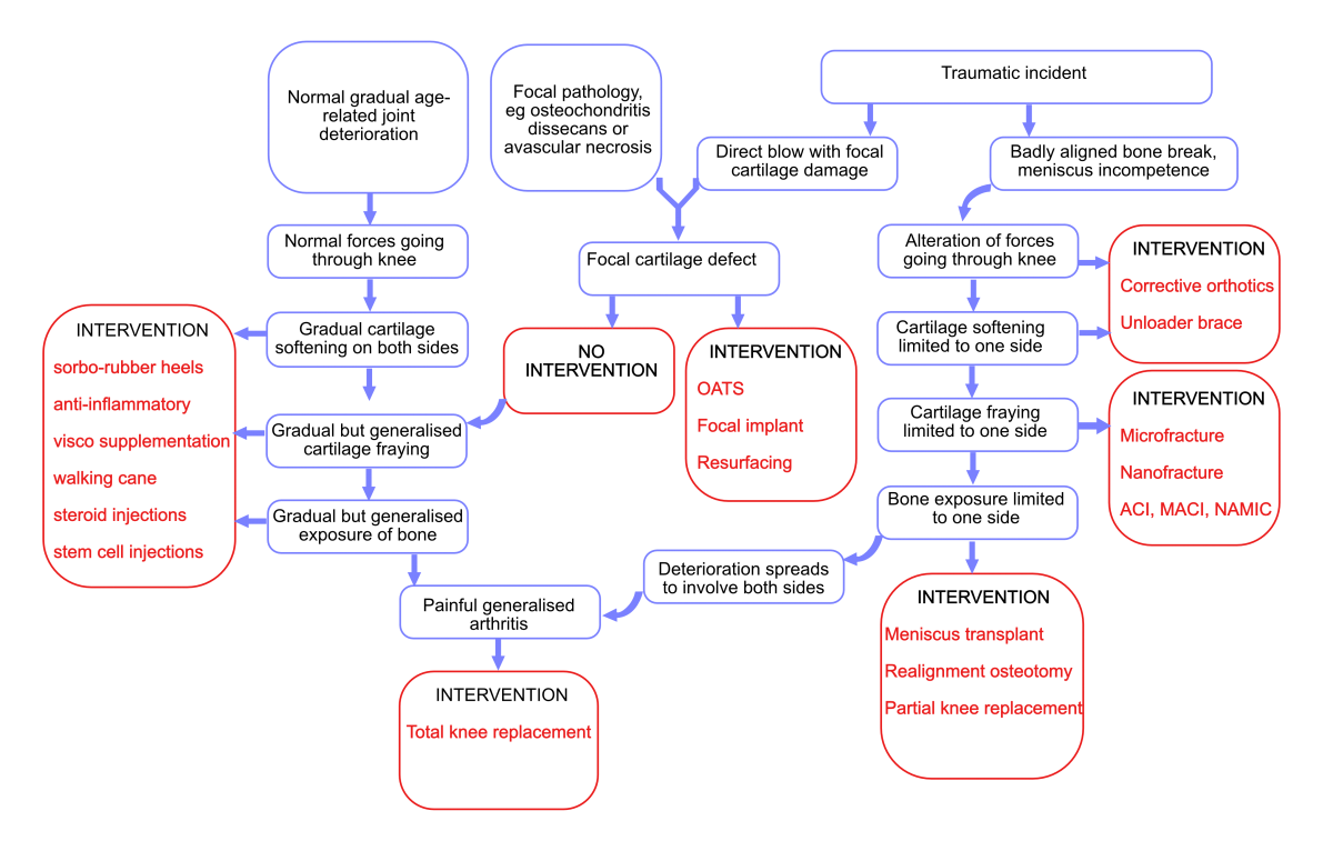 Flowchart of interventions in knee arthritis