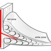 blood supply of the meniscus