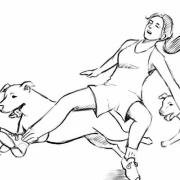 injury to cruciate ligaments