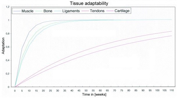 tissue adaptability