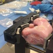 Trying out the raftsJRA osteochondral allog