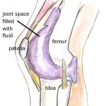 knee cavity