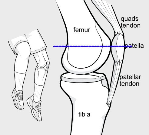 measuring_tt-tg_02.jpg