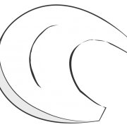 meniscus_discoid_tear_02.png