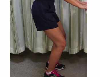 mini squat or mini squats