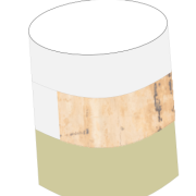 osteochondral plug
