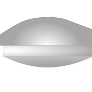 patella with patellar button implant